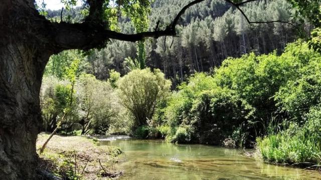 Río Palancia