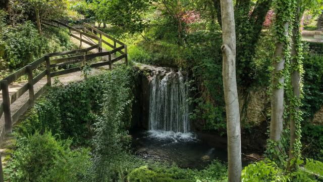 Floresta