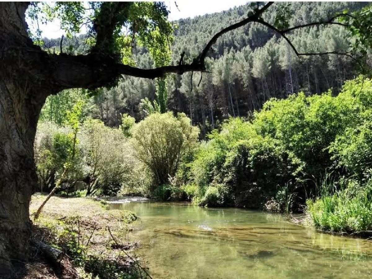 Río Palancia