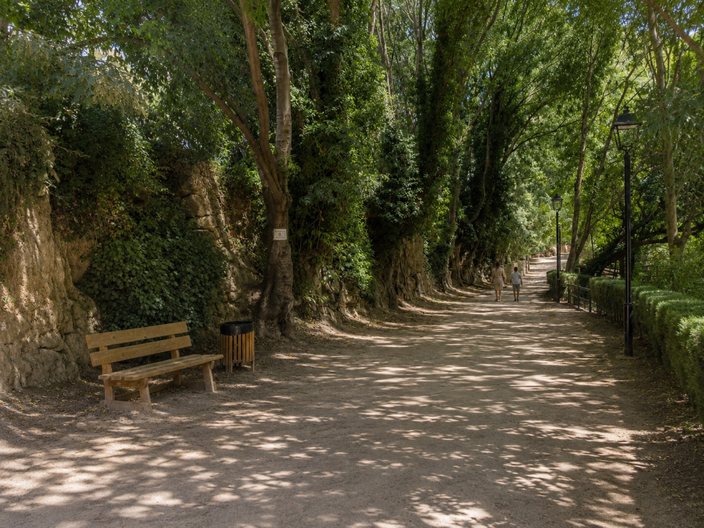 Floresta 1